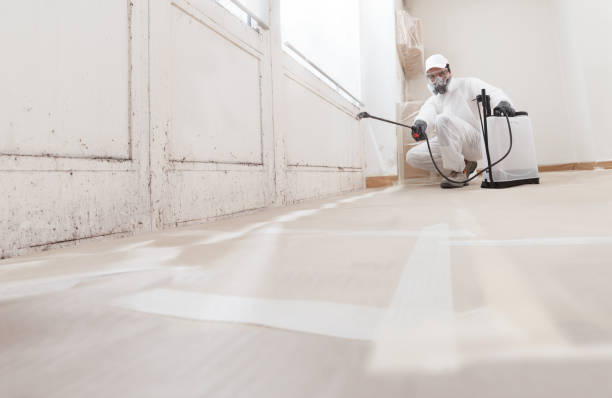24/7 Emergency Mold Inspection experts in Sparta, IL