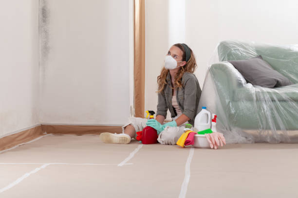 Reliable Mold Inspection contractor in Sparta, IL by WQB Mold Removal